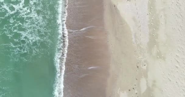 Statischer Blick Von Oben Auf Den Tropischen Strand Schäumende Meereswellen — Stockvideo