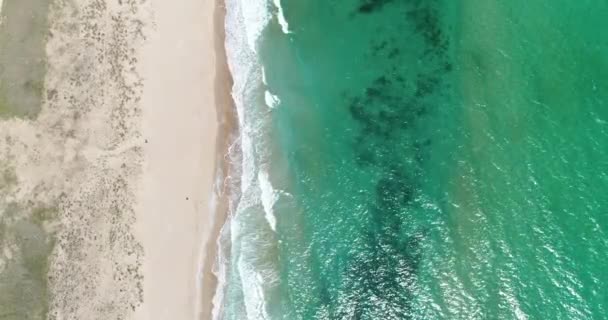 Vue Statique Haut Vers Bas Plage Tropicale Vagues Océaniques Mousseuses — Video