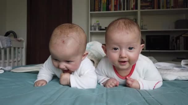 Gémeos Adoráveis Seis Meses Cama Casa Miúdos Giros Durante Barriga — Vídeo de Stock