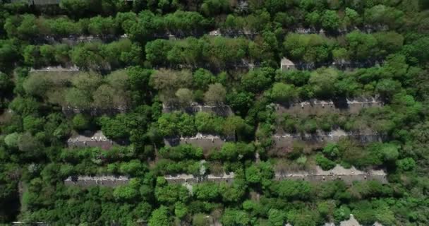 Vista Aérea Velha Quinta Porcos Abandonada Fazenda Gado Exploração Colectiva — Vídeo de Stock