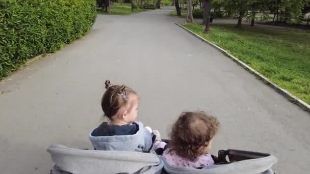 Adoráveis Meninas Irmãs Carrinho Carrinho Bebê Parque — Vídeo de Stock