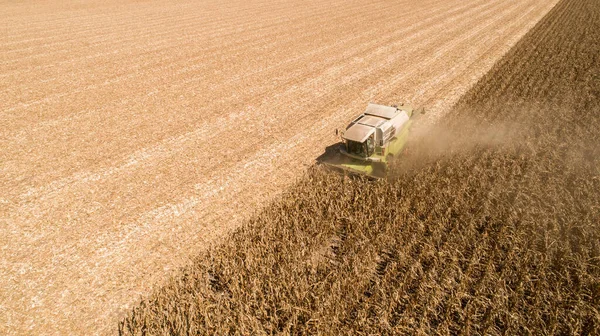 トウモロコシ畑で収穫された 収穫者 を組み合わせた空中風景 機械化された収穫トウモロコシ — ストック写真