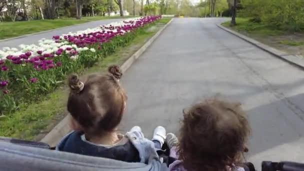 Adoráveis Meninas Irmãs Carrinho Carrinho Bebê Parque — Vídeo de Stock