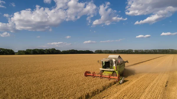 Повітряний Вигляд Комбайна Збирання Врожаю Пшеничному Полі Хмарне Небо — стокове фото