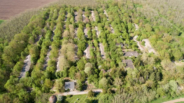 古い放棄された豚の農場の空中ビュー 畜産場 放棄された共同農場 — ストック写真