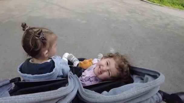 Чарівні Дівчата Сестри Колясці Дитяча Коляска Парку — стокове відео