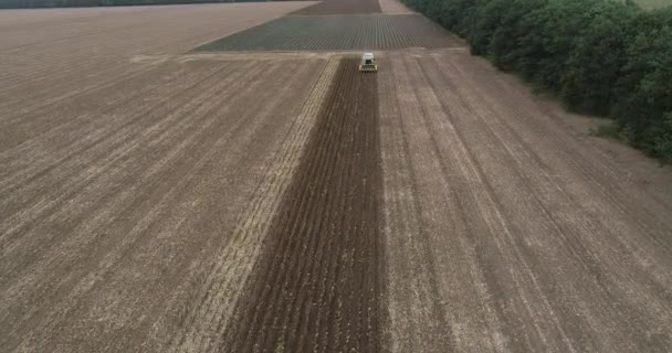 収穫機の空中ビューはひまわりを収穫します ひまわりの収穫の組み合わせ — ストック動画