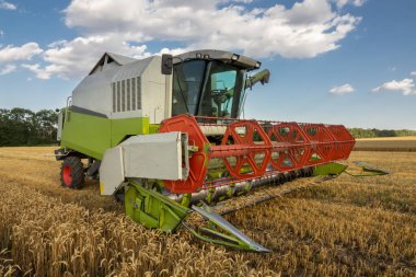Modern birleşim, hasat, buğday tarlasında hasat, bulutlu gökyüzü