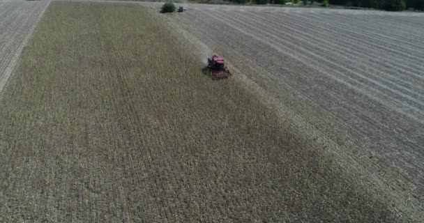 Aerial View Harvester Machine Harvest Sunflower Combine Harvesting Sunflower — Stock Video
