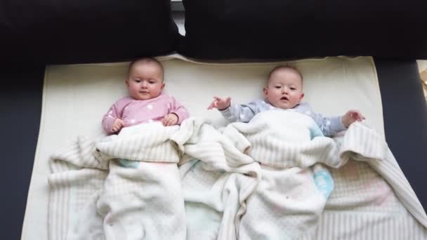 Liebenswerte Sechs Monate Alte Zwillinge Hause Bett — Stockvideo