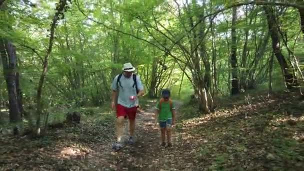 父子俩在森林里散步 背着背包在山上远足 旅行生活方式概念 积极的家庭生活 — 图库视频影像