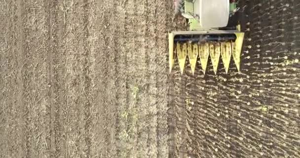 Top View Harvester Machine Harvest Sunflower Combine Harvesting Sunflower Close — Stock Video