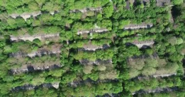 Eski terk edilmiş domuz çiftliğinin havadan görünüşü. Çiftlik hayvanları. Terk edilmiş kolektif çiftlik