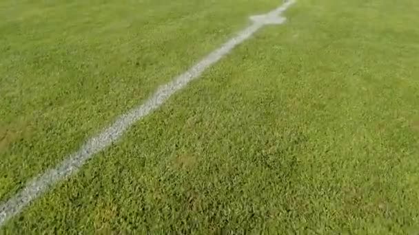 サッカー場の草だ サッカーのピッチ上の線と草の閉鎖 — ストック動画
