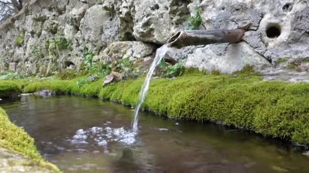 Brunnen Wasser Quelle Quelle Wald Natürliches Quellwasser Freien — Stockvideo