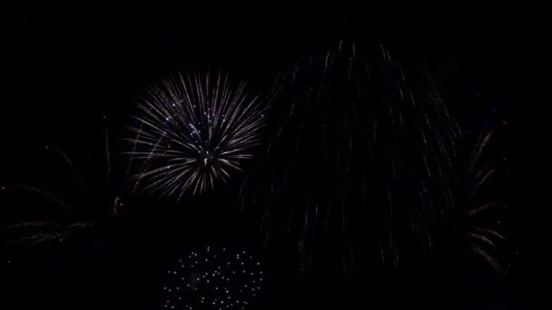 Wunderschönes Echtes Feuerwerk Nachthimmel Silvesterfeuerwerk Feier — Stockvideo
