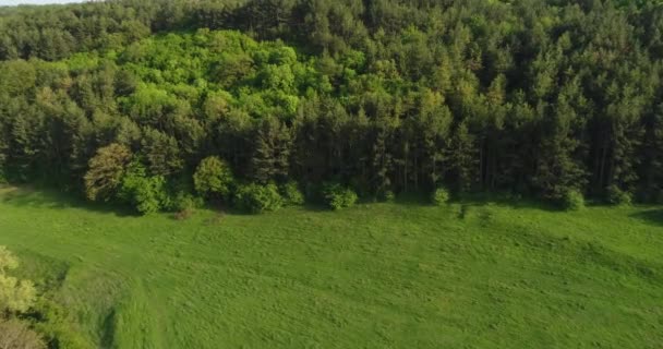 Drone Aéreo Filmagem Vista Belas Árvores Florestais Maravilhoso Voo Para — Vídeo de Stock