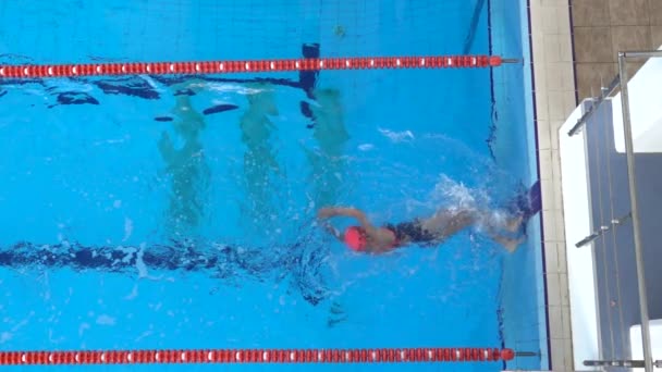 Profesionální Plavkyně Plave Bazénu Plavec Převrátí Točící Tělo Bazénu Pohled — Stock video