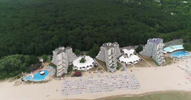 Αεροφωτογραφία Της Παραλίας Των Ξενοδοχείων Και Του Δάσους Στην Αλμπένα — Αρχείο Βίντεο