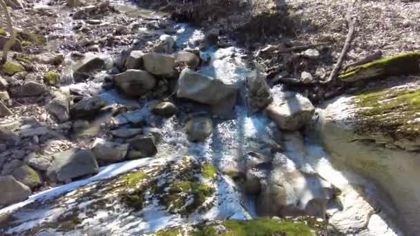 Rent Sötvatten Skogen Bergbäck Skogen Fin Bäck Naturligt Vatten Från — Stockvideo