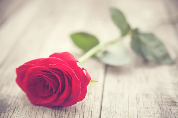 Red rose on wooden background — Stock Photo, Image