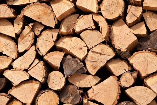 Stack of dried firewood of birch wood — Stock Photo, Image