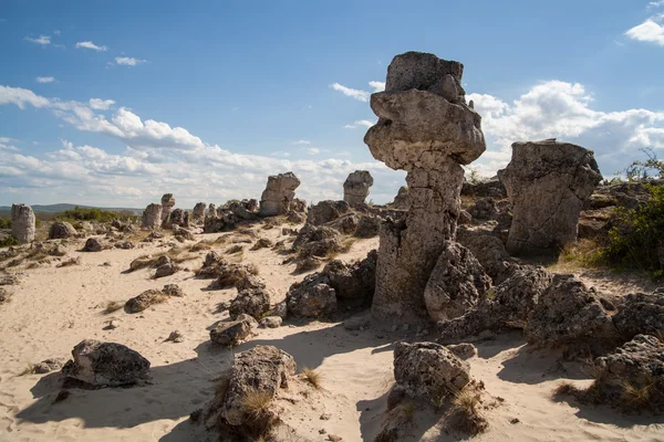 Steinwald in der Nähe von Varna, Bulgarien, Pobiti Kamani, Felsphänomen — Stockfoto