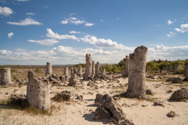 varna, Bulgaristan, pobiti kamani, kaya fenomen yakınındaki taş orman