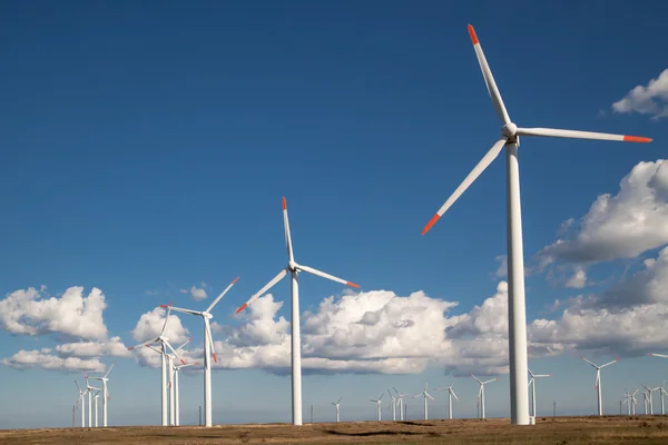 Wind turbine farm over the blue clouded sky — Stock Photo, Image