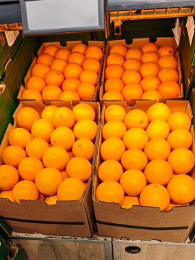 Markette satılmak üzere karton kutularda taze olgun portakallar. Sağlıklı beslenme, C vitamini ve market alışverişi..