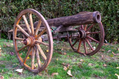 Büyük tekerlekleri olan taşralı antika ahşap top. Yeşil çimlerin üzerindeki bahçede sergilenen tarihi bir silah.