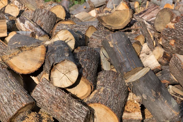 Brennholzstapel — Stockfoto