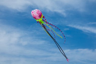 Mavi Gökte Uçan Renkli Denizanası Biçimli Uçurtma. Canlı Festival Dekorasyonu, Yaz Eğlencesi, Yaratıcı Eğlence Etkinliği ve Eğlenceli Çocukluk Sembolü