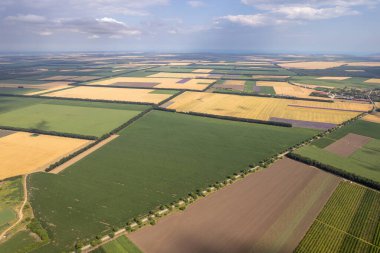 Çeşitli tarım türlerine sahip alanların havadan görünüşü. Renkli tarımsal tarlalar güzel bir kırsal düzen oluşturuyor.