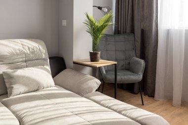 Rahat bir kanepe ve kadife sandalyeyle modern bir oturma odasının güneşli köşesi. Sakin, rahat bir ev için İskandinav iç tasarımı. Sıcak ev iç tasarımı, rahatlama alanı, doğal ışık ve minimalist dekor