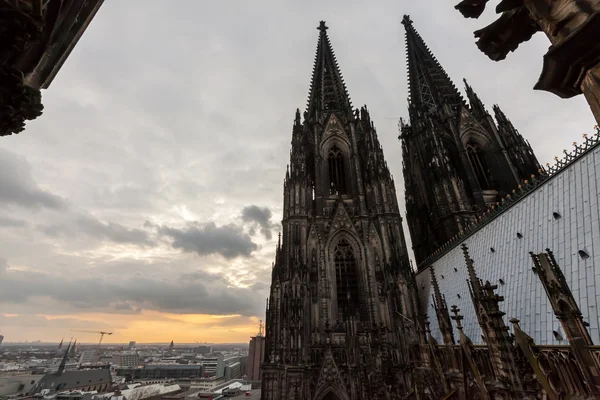 Niemcy, Kolonia, słynnej katedry (oferuje Dom) — Zdjęcie stockowe