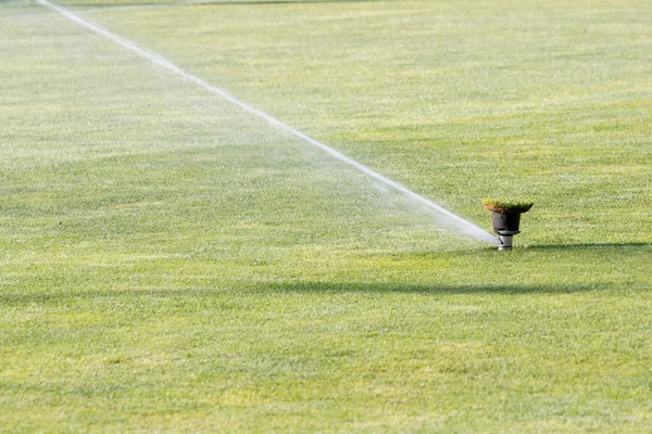 Sprinkleranlage arbeitet auf frischem grünen Rasen im Fußballstadion — Stockfoto