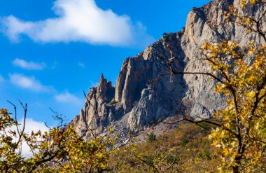 Dağlar ve ormanlar, gri kayalar ve ağaç dalları. Yürüyüş konsepti, dağlarda yürüyüş. Yüksek kalite fotoğraf