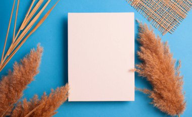 Sazlık çiçekli minimalist kart modeli, çiçek, düzlük, üst görünüm