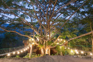 Birçok gece lambası ile ağaç evi