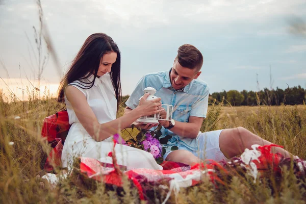 Krásná mladá šťastné milující pár na piknik vleže na pléd na slunečný letní den těší a odpočívá. objímání a při pohledu na sebe a s úsměvem. — Stock fotografie