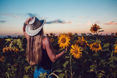Ayçiçeği bir alanda kovboy şapkalı kız. Günbatımı