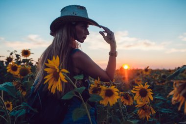 Ayçiçeği bir alanda kovboy şapkalı kız. Günbatımı
