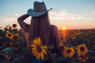 Ayçiçeği bir alanda kovboy şapkalı kız. Günbatımı