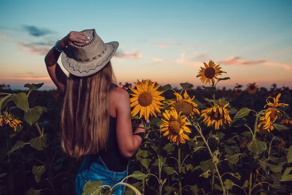 Ayçiçeği bir alanda kovboy şapkalı kız. Günbatımı