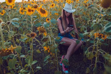 Kovboy şapkalı kız ayçiçeği alan yakalar bir cep telefonu kaybetti. Günbatımı.