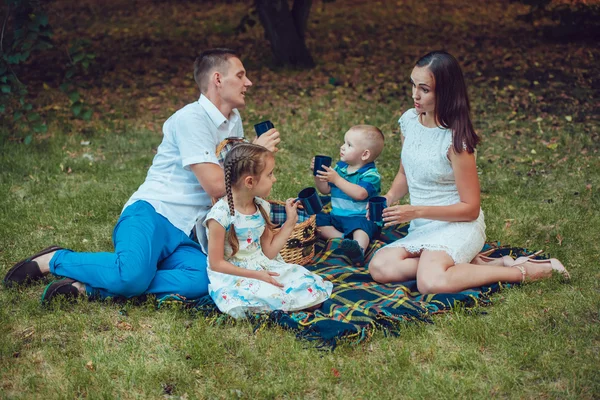 Mladá rodina ze čtyř na piknik v parku — Stock fotografie