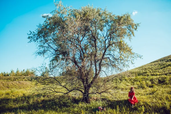 Chica en el vestido rojo está caminando en el campo —  Fotos de Stock