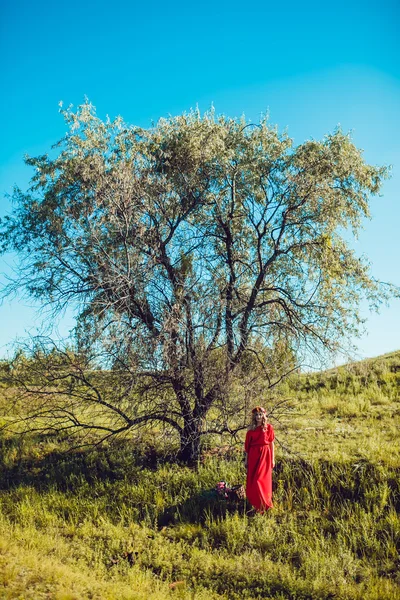 Chica en el vestido rojo está caminando en el campo —  Fotos de Stock