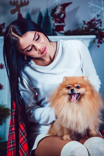 Девушка с собакой на фоне новогоднего украшения . — стоковое фото